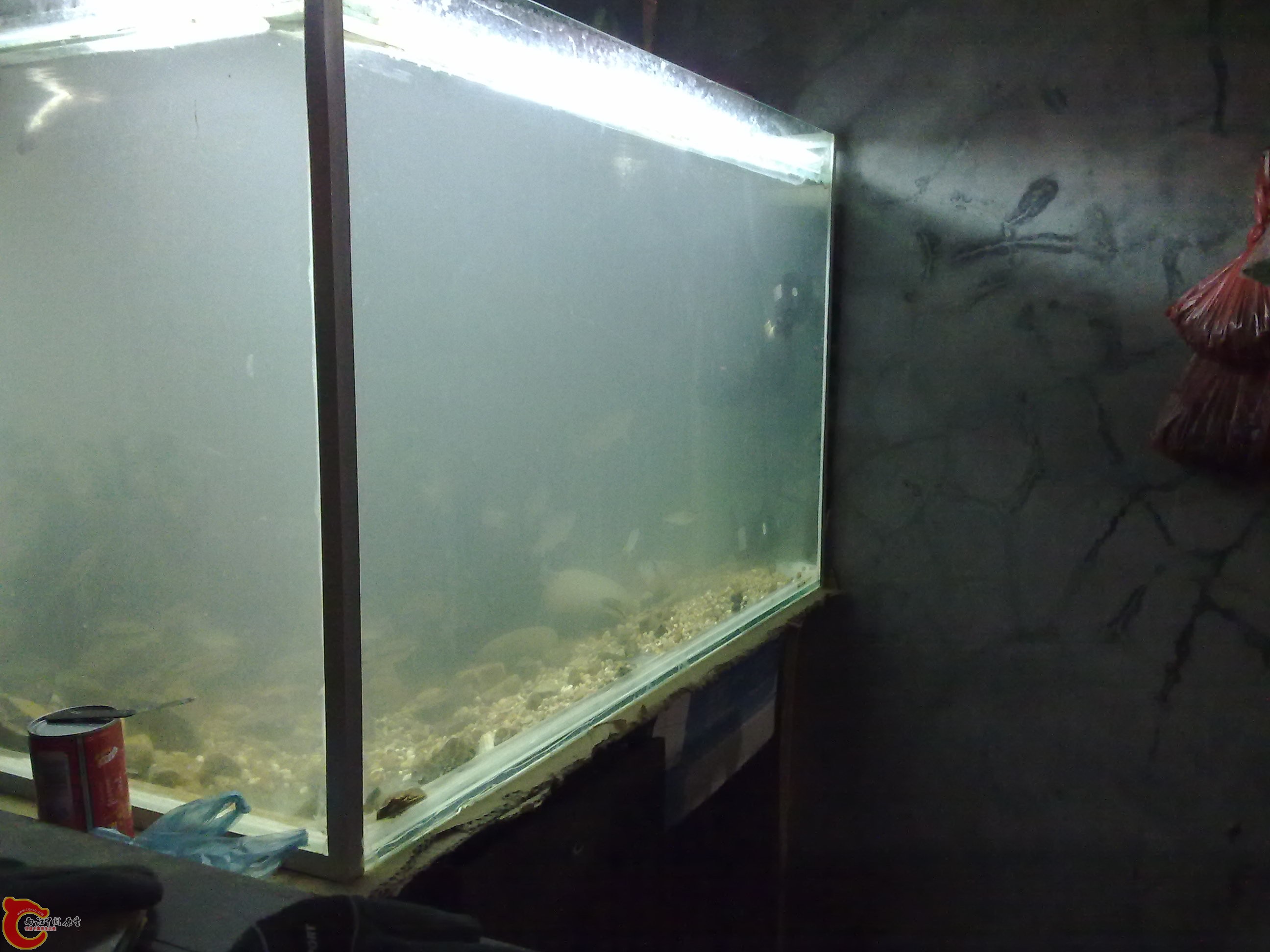 20110116396.jpg