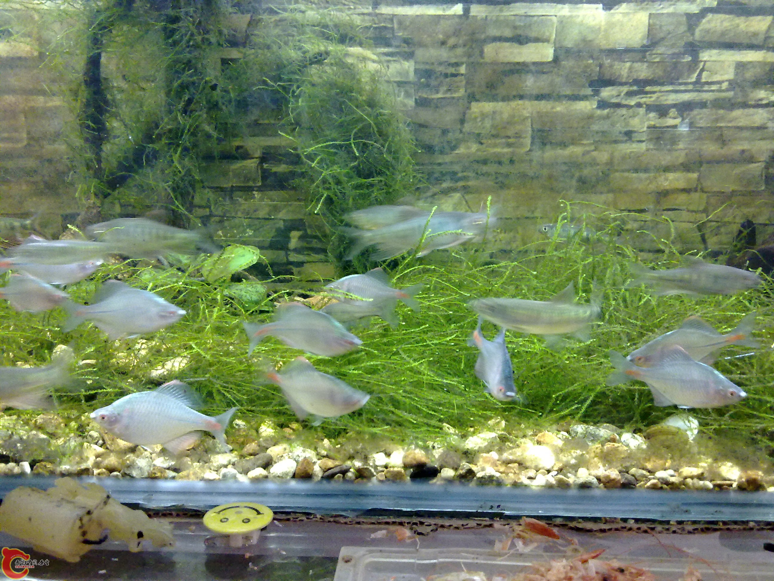 20110116401.jpg