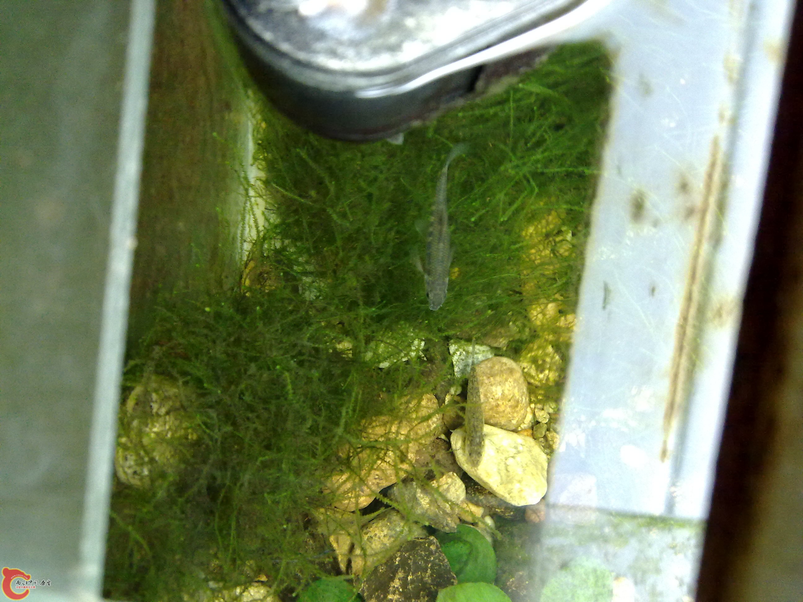 20110116407.jpg