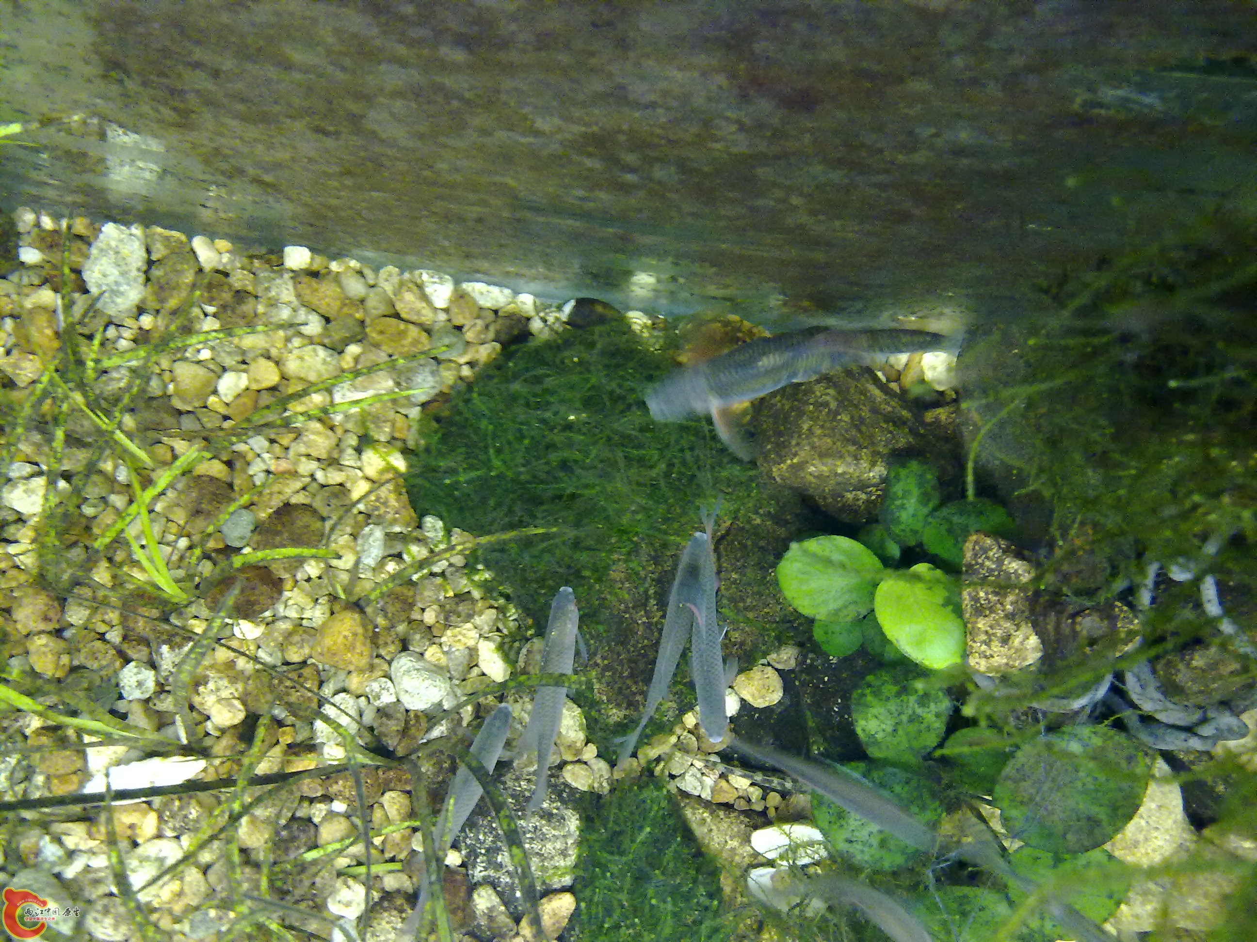 20110116408.jpg