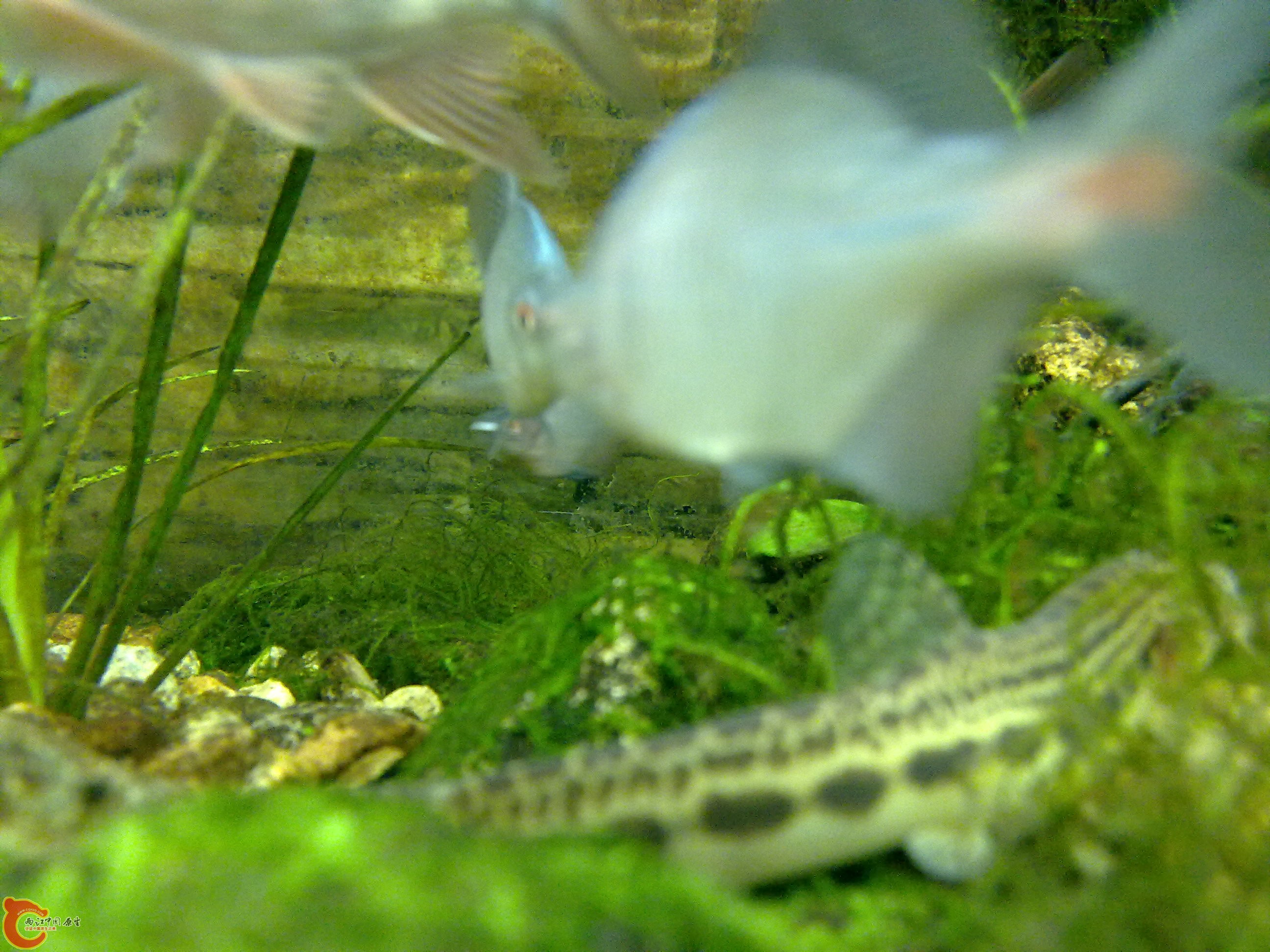 20110116429.jpg