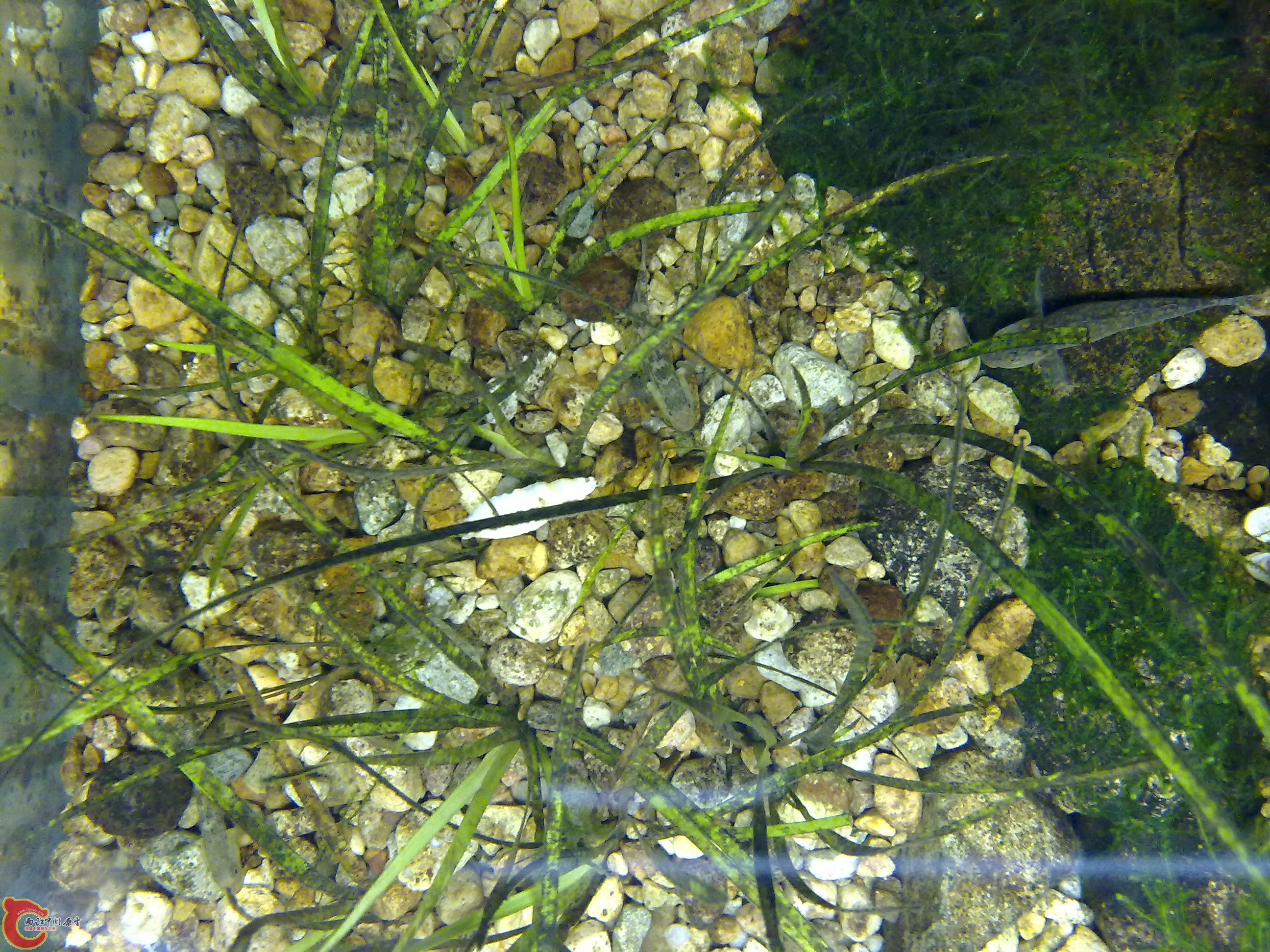 20110116430.jpg