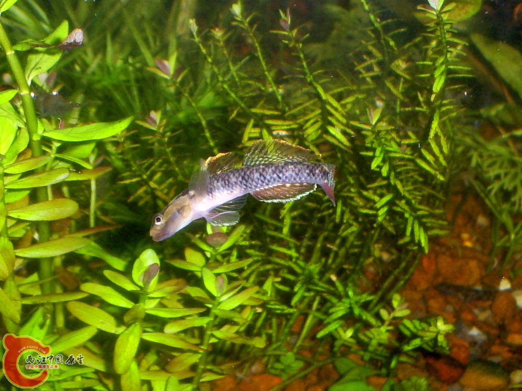 S5030002.JPG