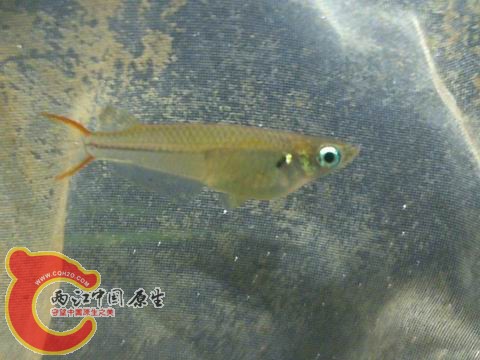调整大小 20110118405.jpg