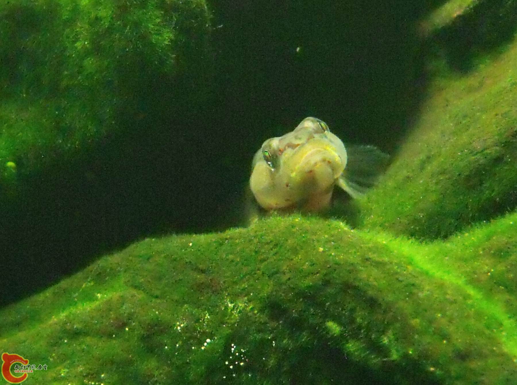 DSCF1162.JPG