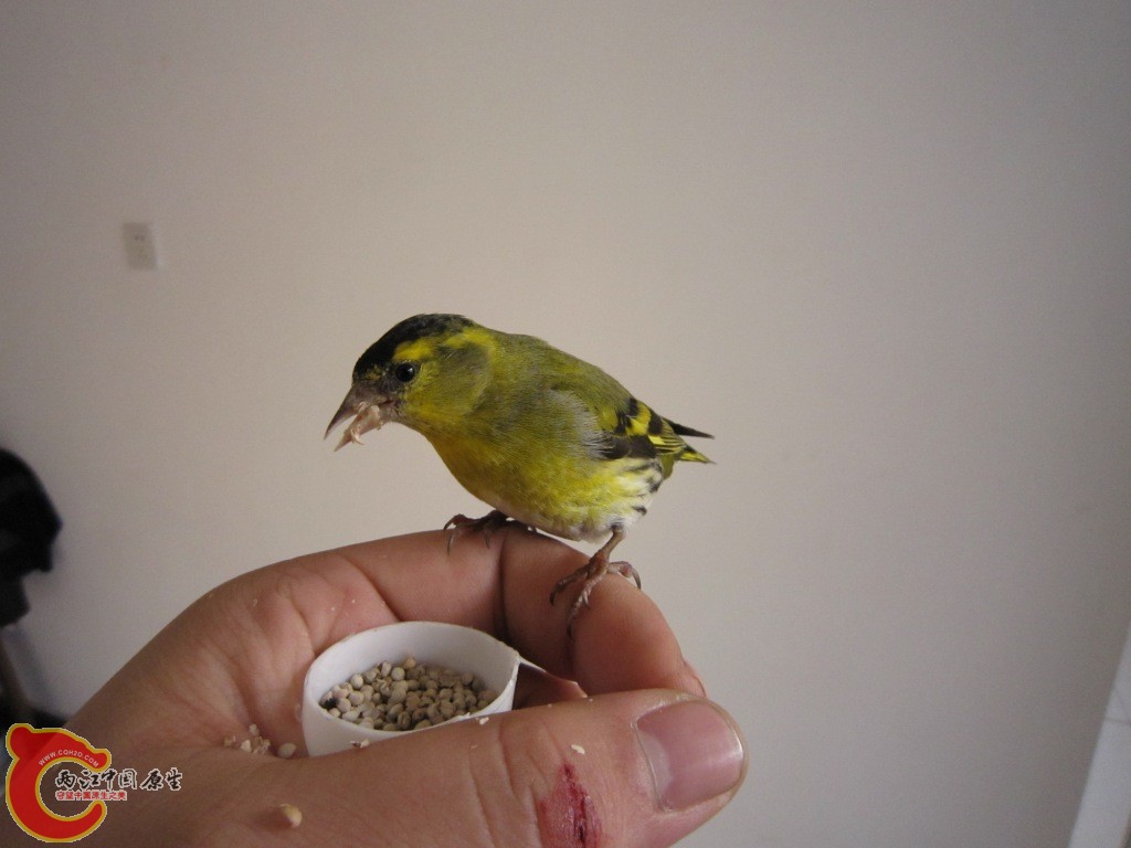 IMG_3662.JPG