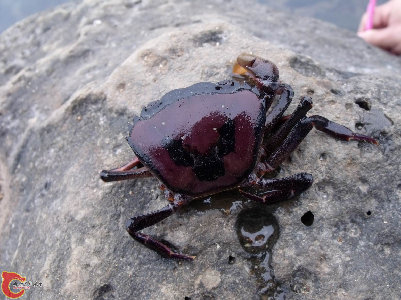 照片2011.01.24 030.jpg