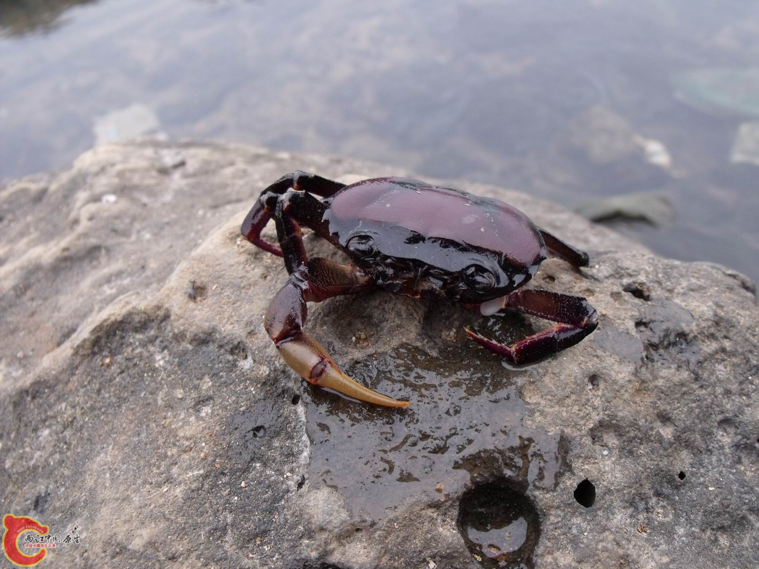 照片2011.01.24 031.jpg