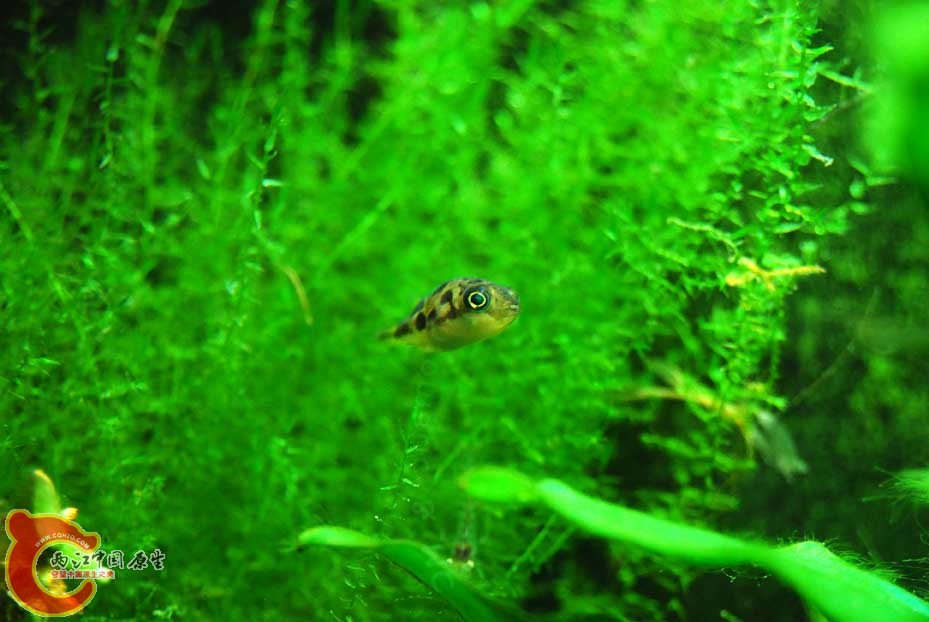 DSC_0682.jpg