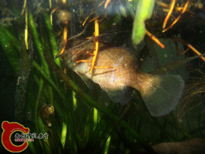 DSCF2378.jpg