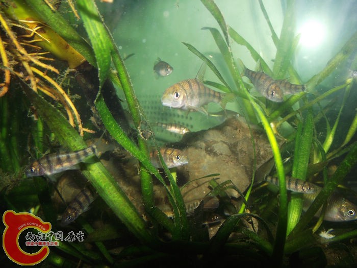 DSCF2255.jpg