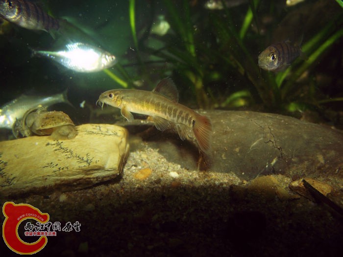 DSCF2266.jpg