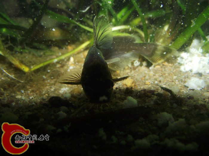 DSCF2208.jpg