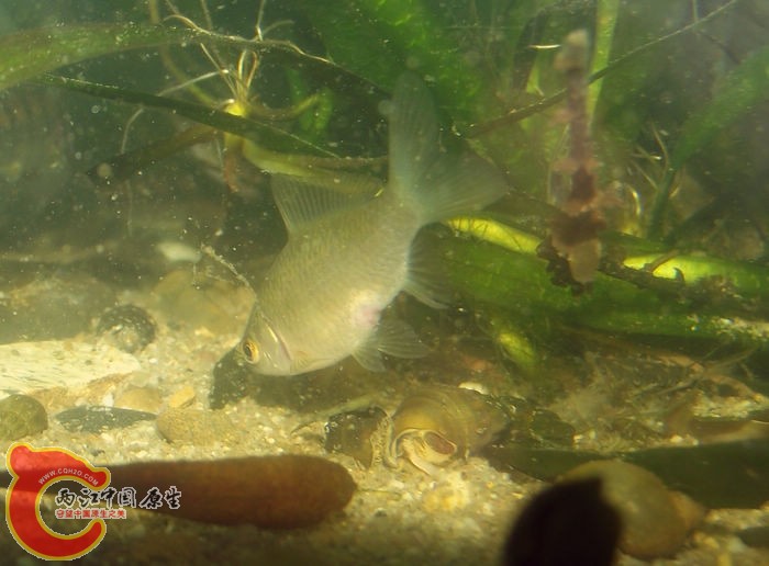 DSCF2534.jpg