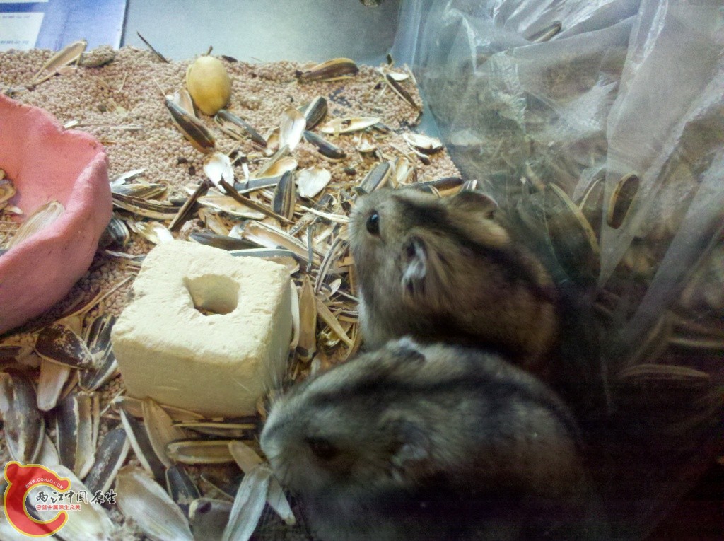 2011-02-02_13-57-58_563.jpg