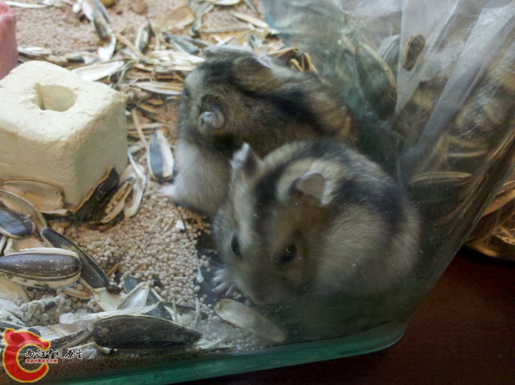 2011-02-02_14-04-42_523.jpg