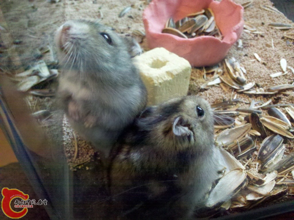 2011-02-02_14-07-37_836.jpg