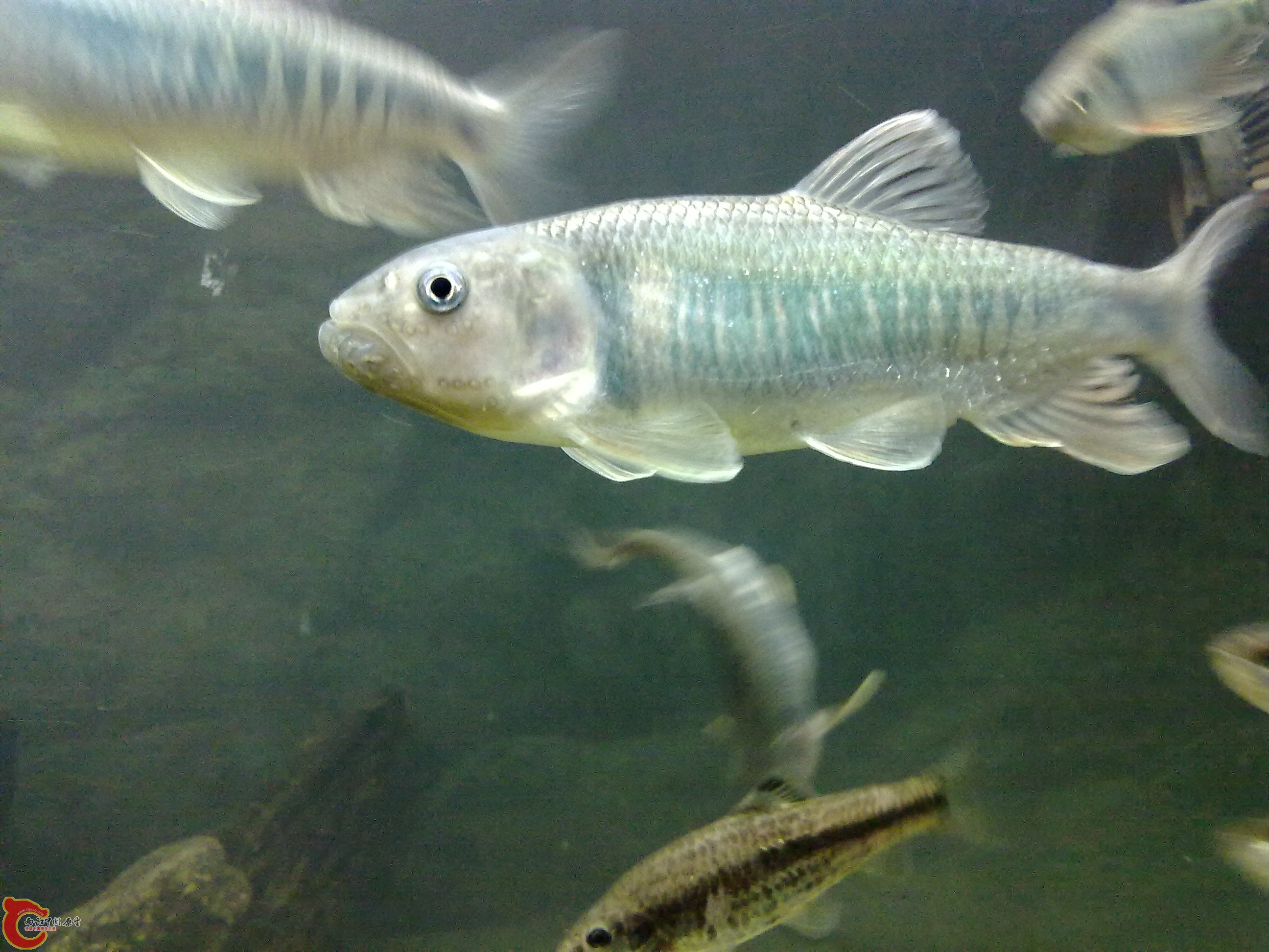20110203537.jpg