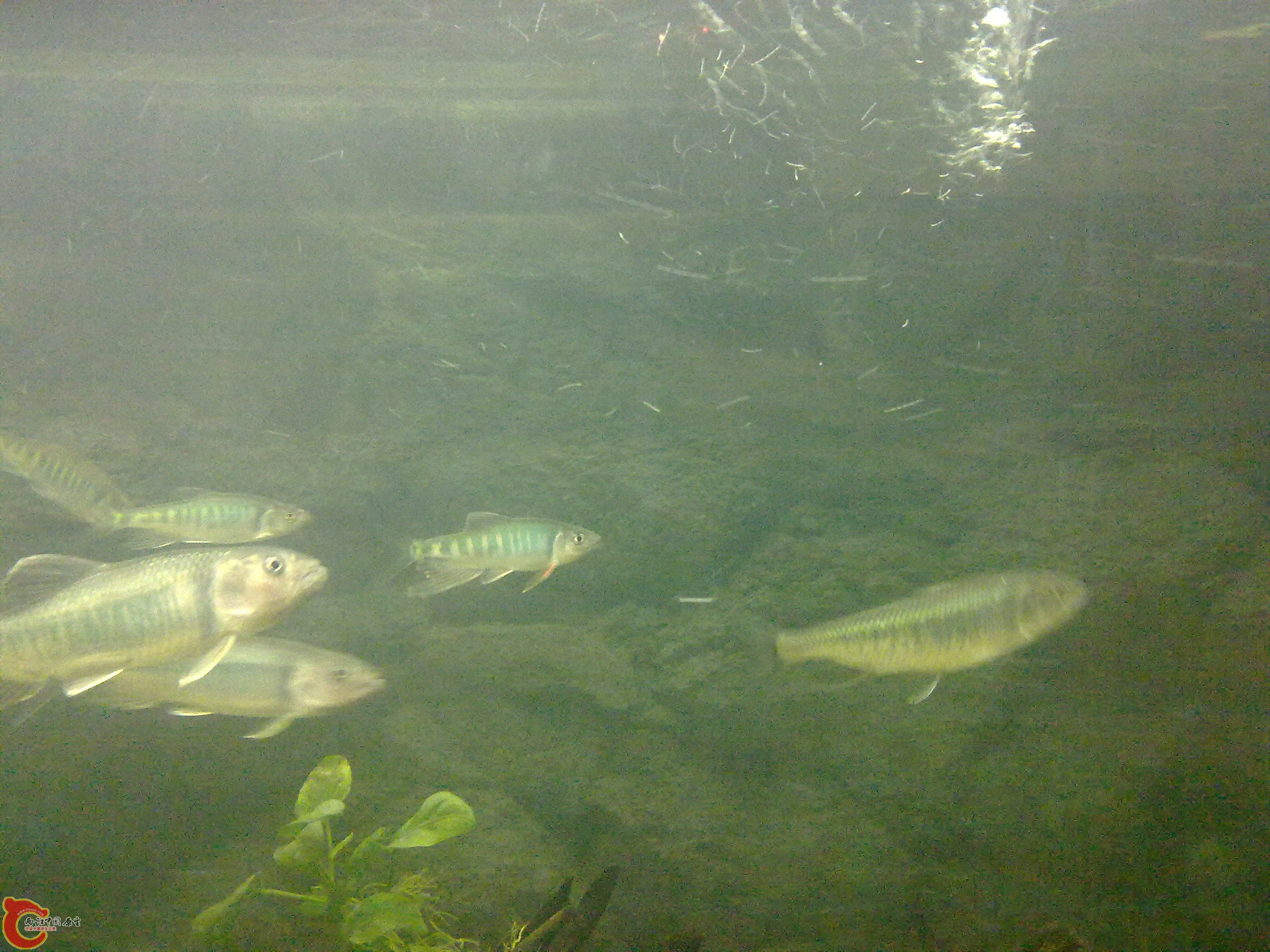 20110203510.jpg