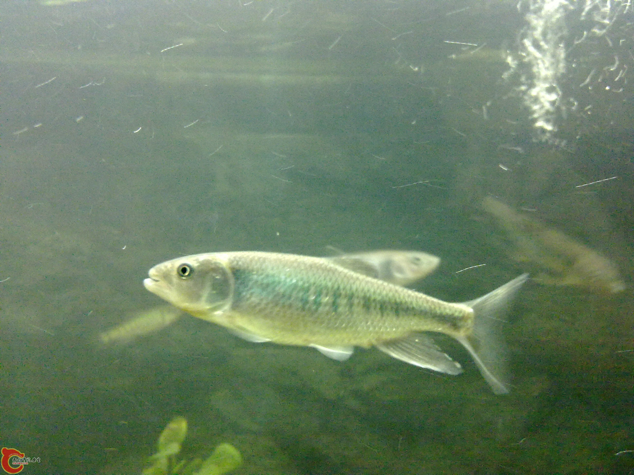 20110203543.jpg
