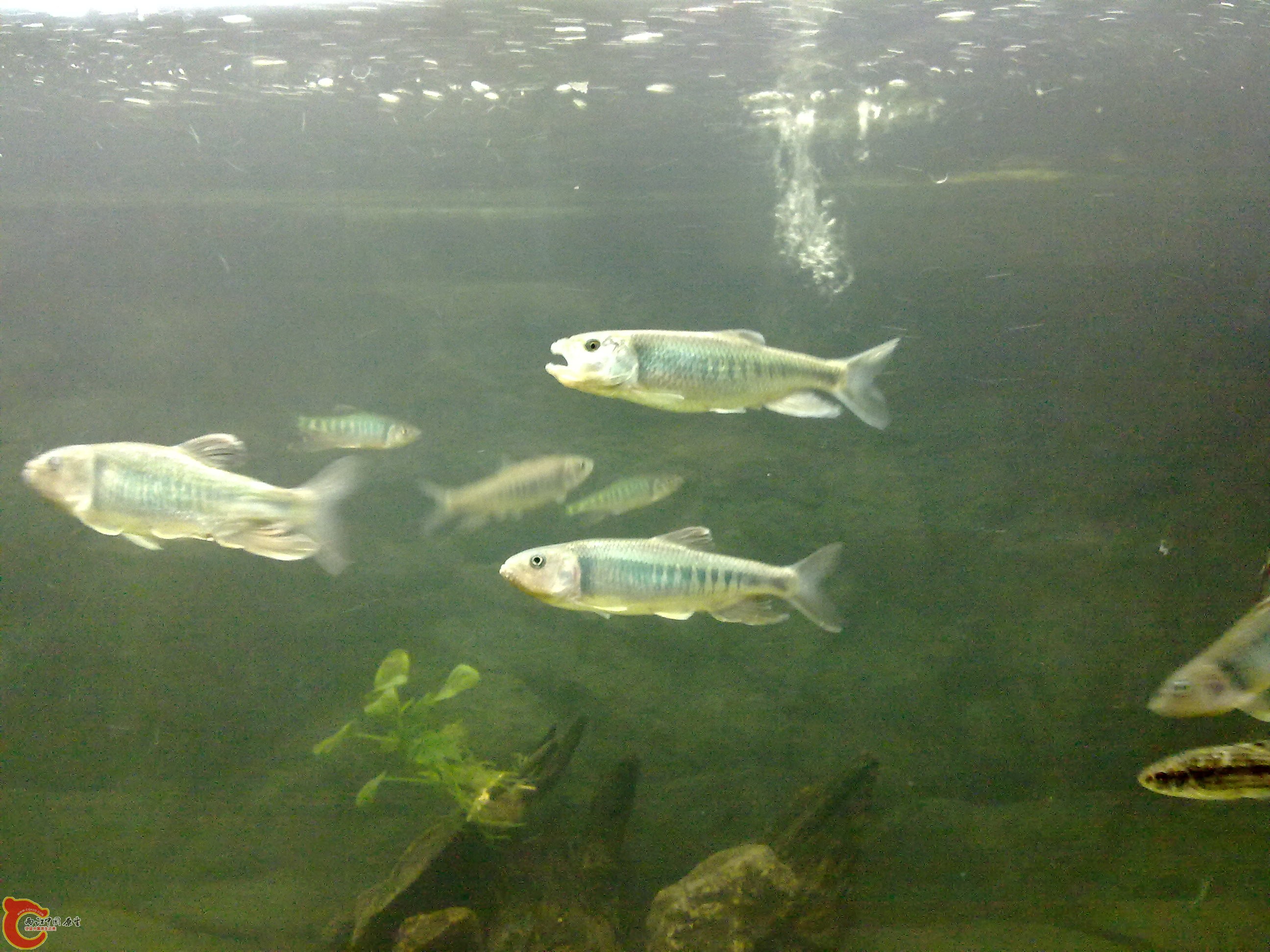 20110203559.jpg