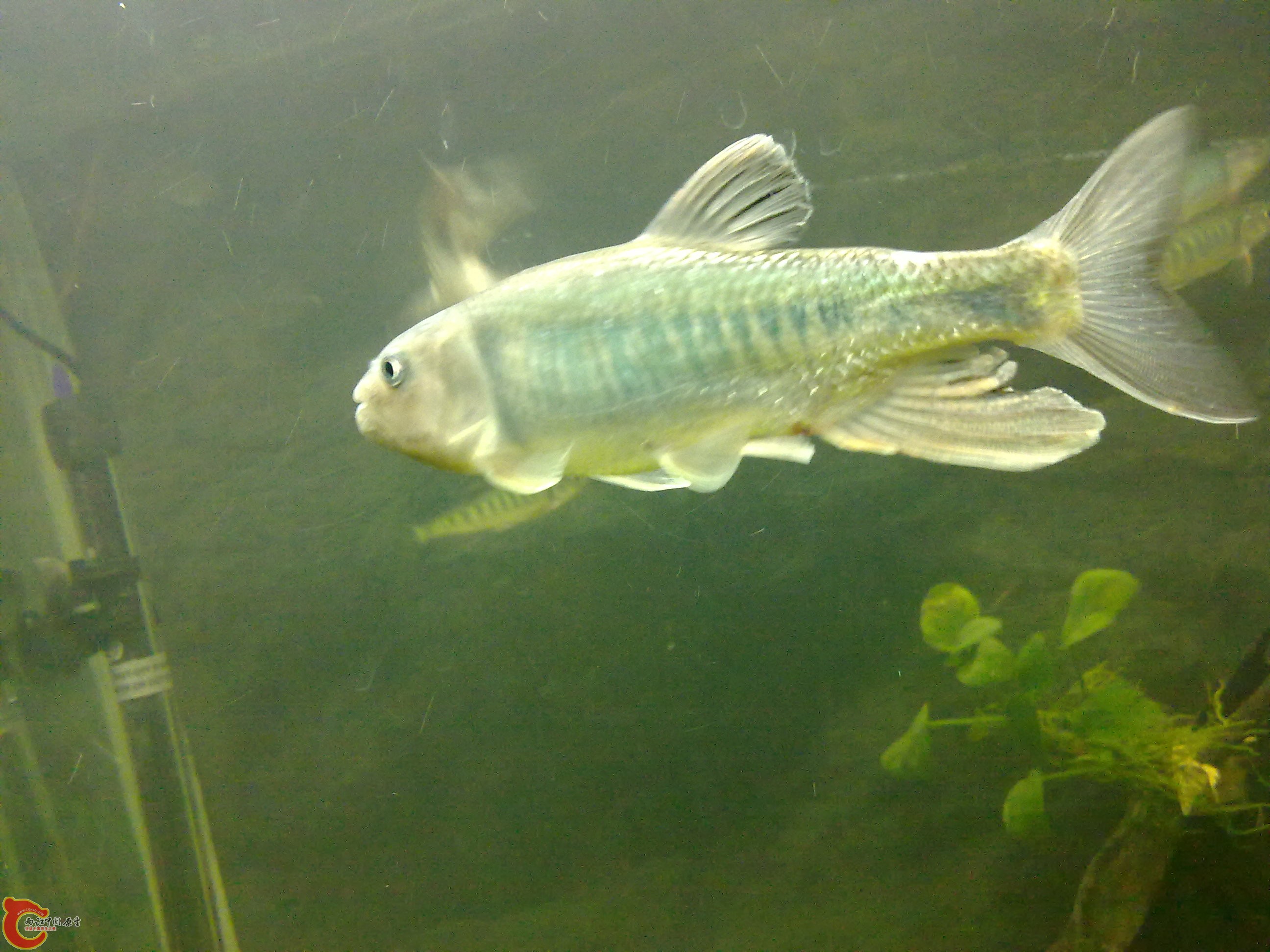 20110203573.jpg