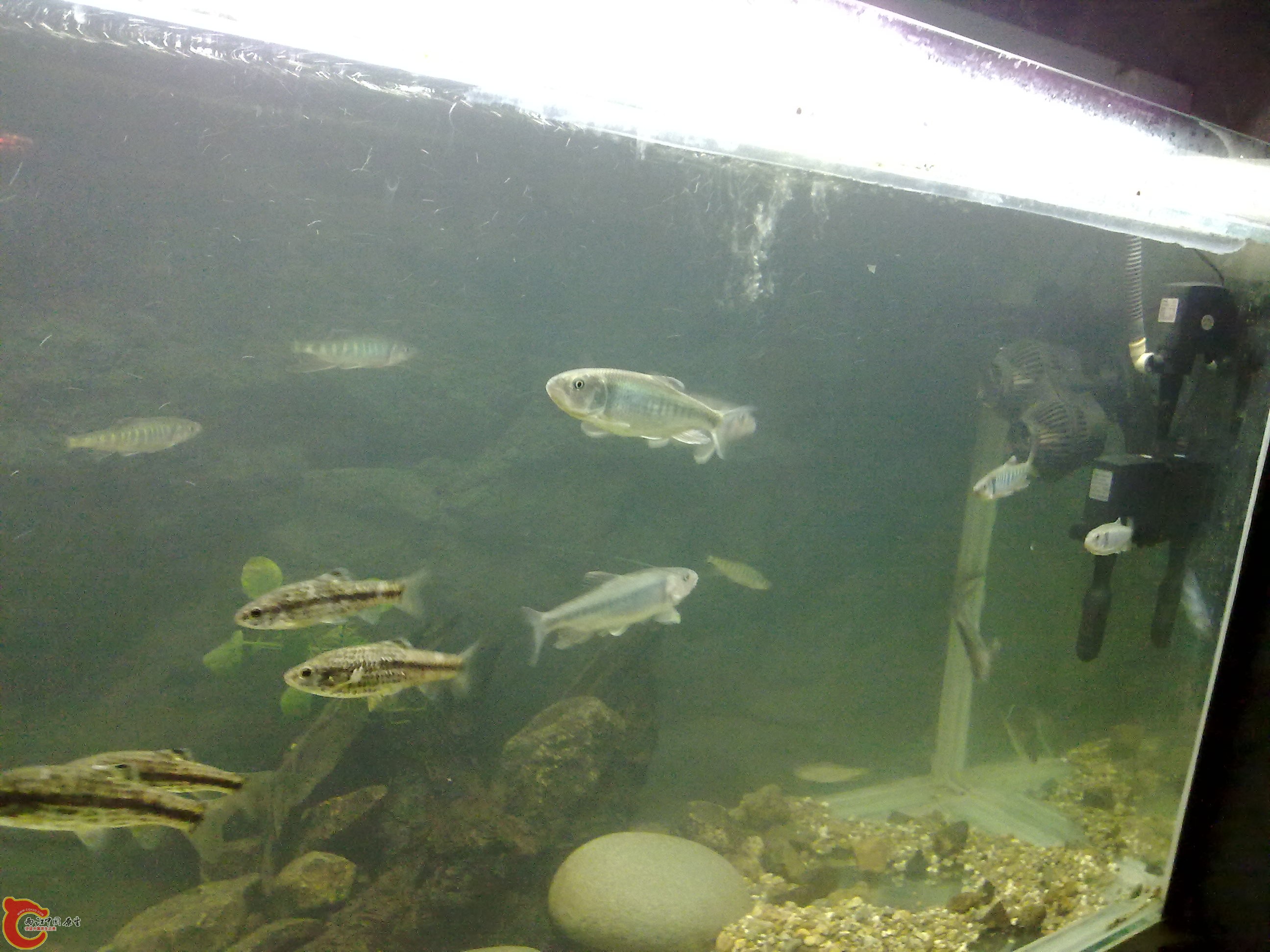 20110203596.jpg