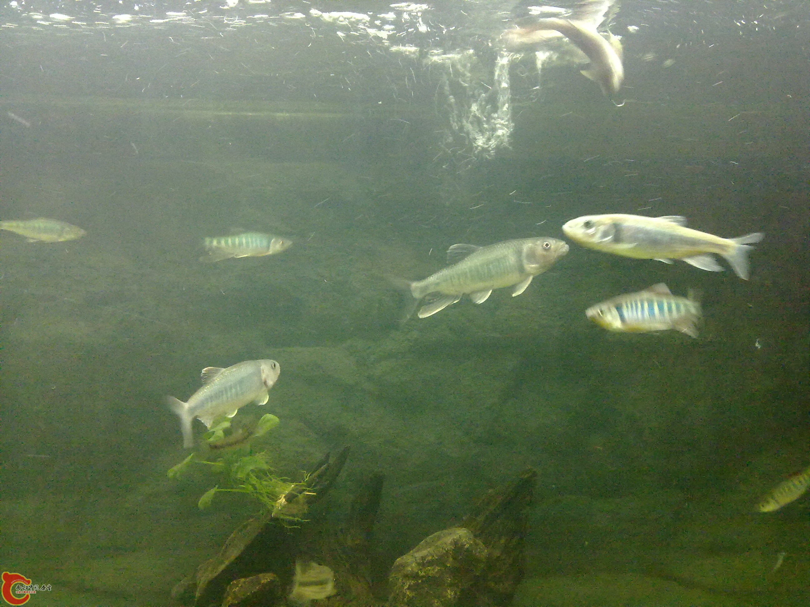 20110203610.jpg