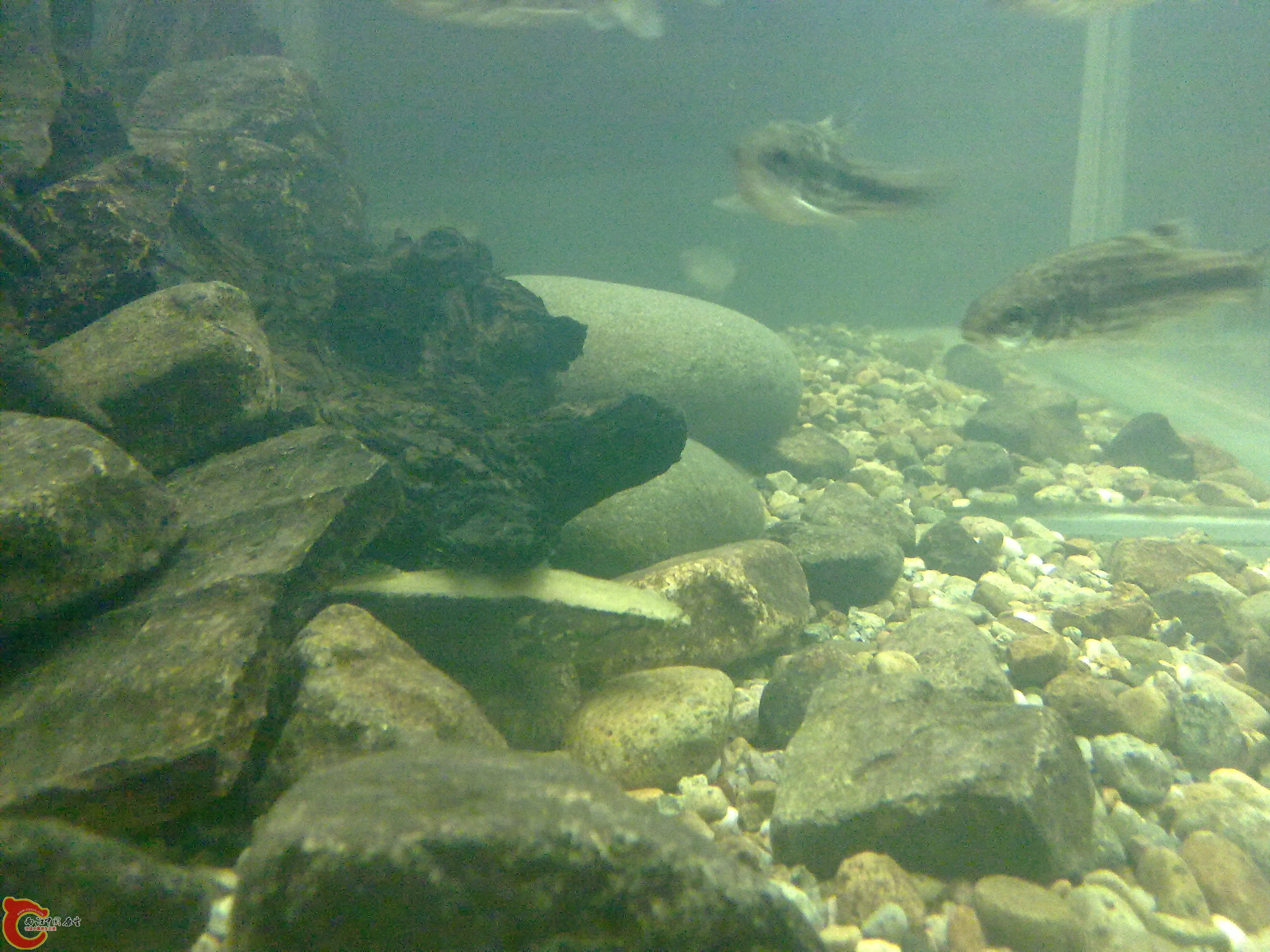 20110203467.jpg