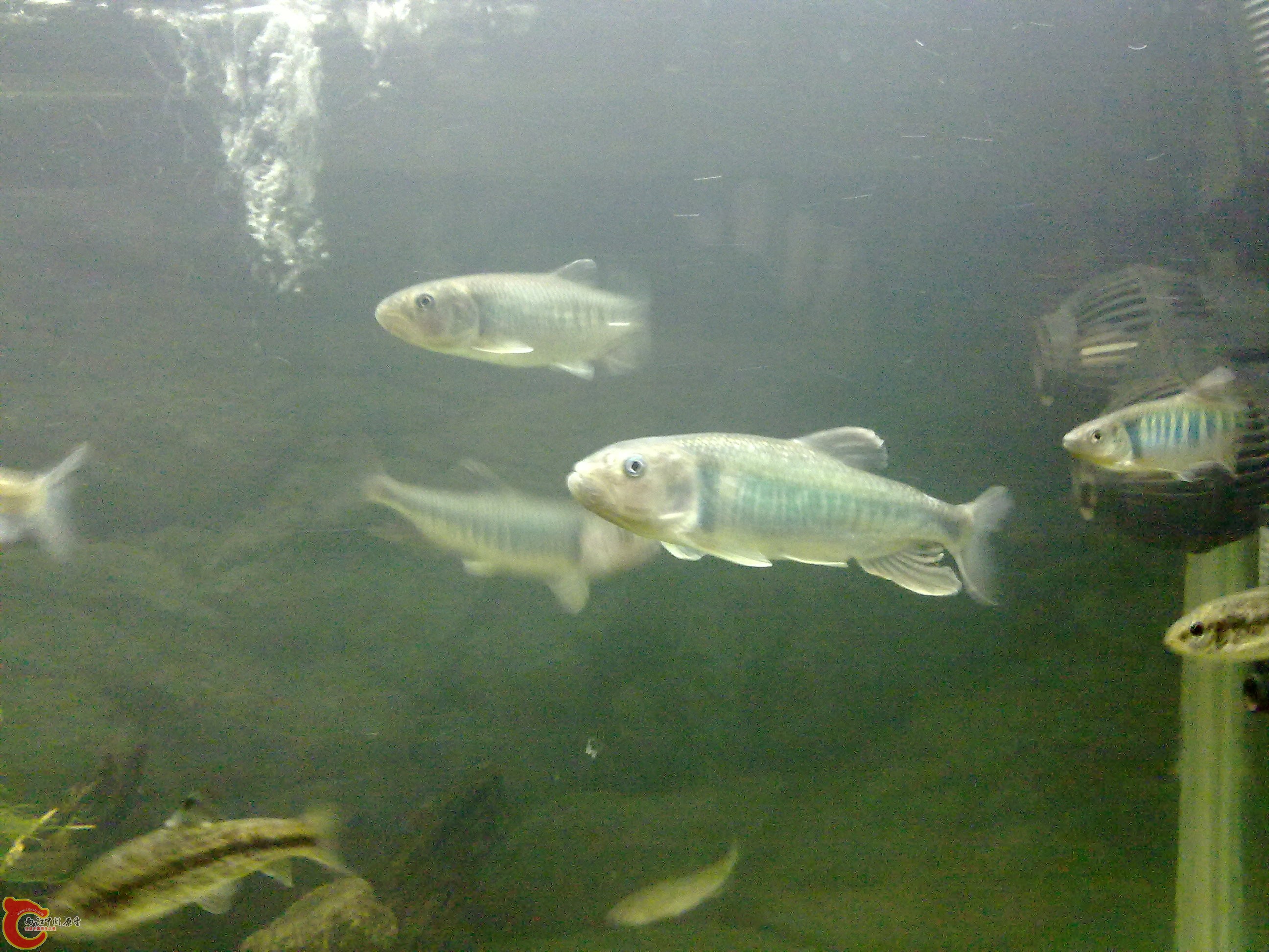 20110203444.jpg