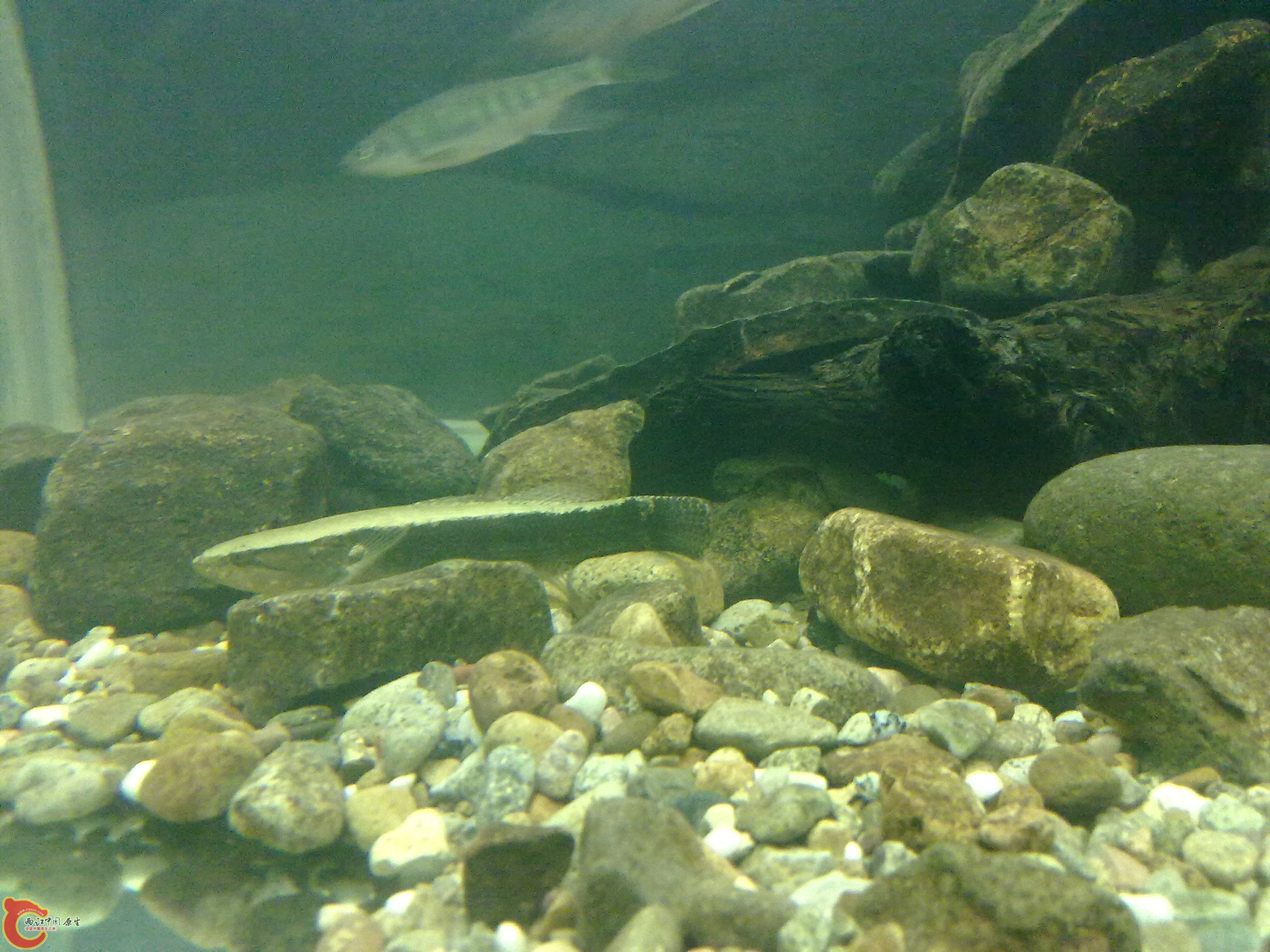 20110203481.jpg
