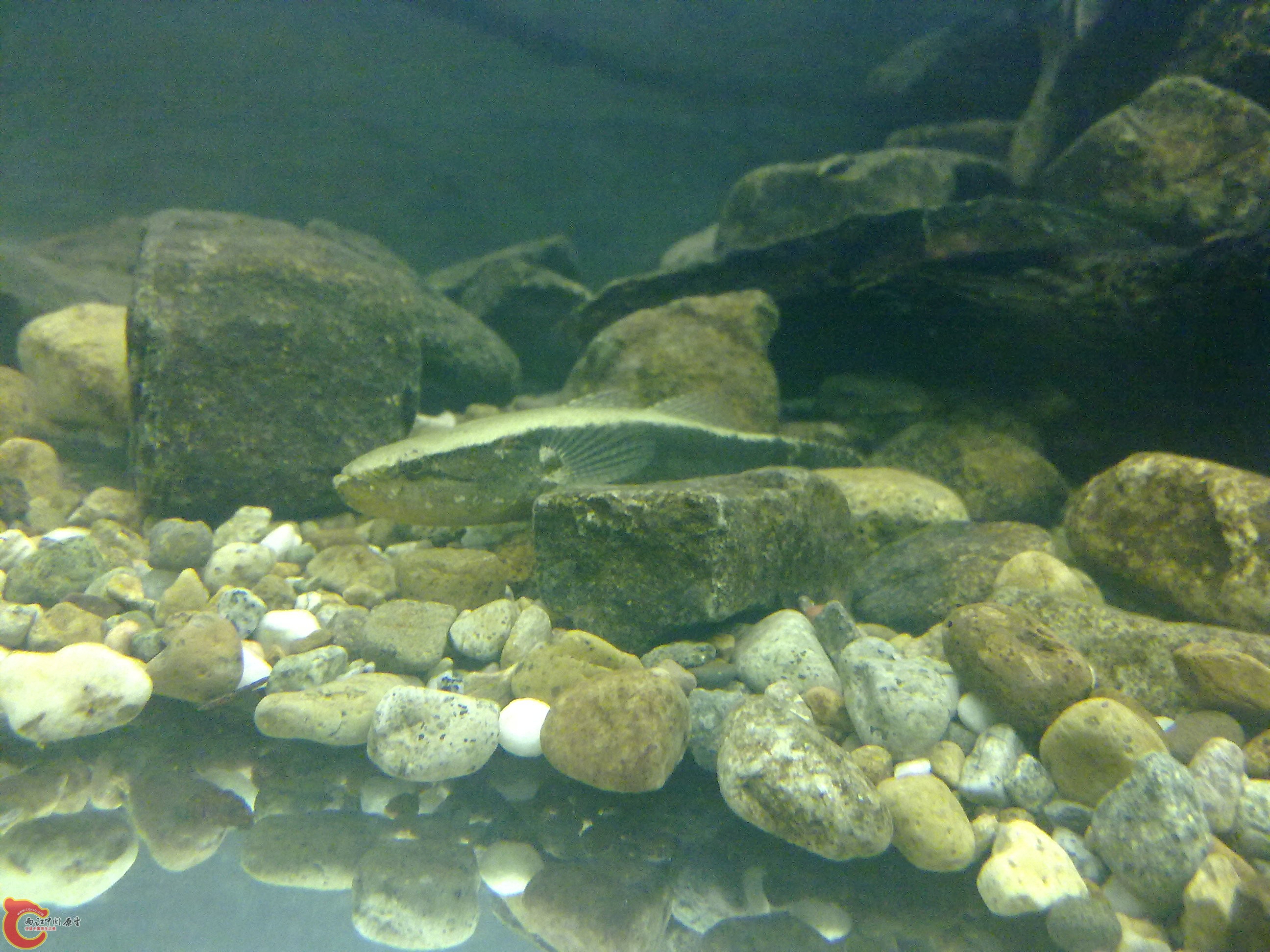 20110203494.jpg