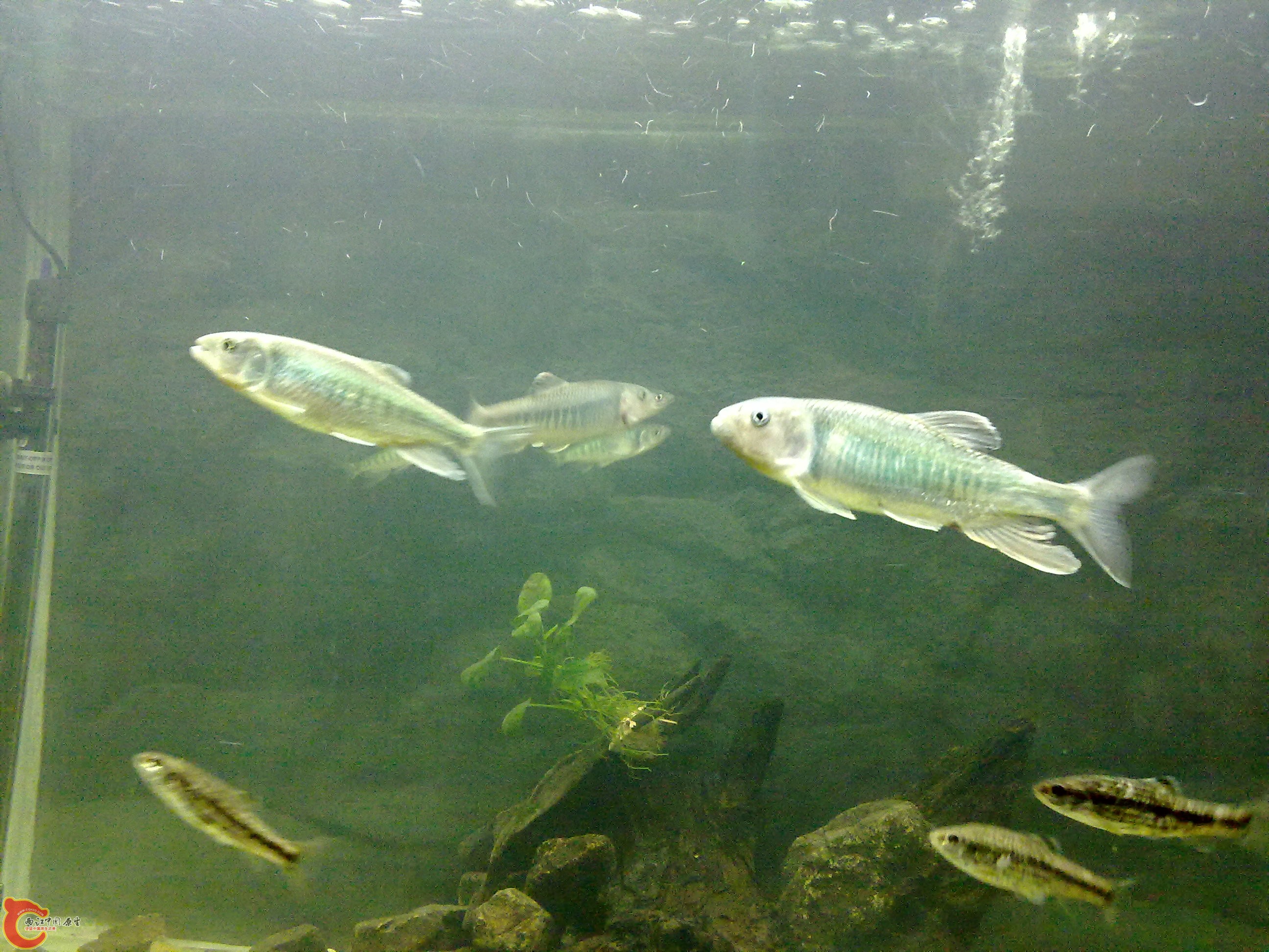 20110203560.jpg