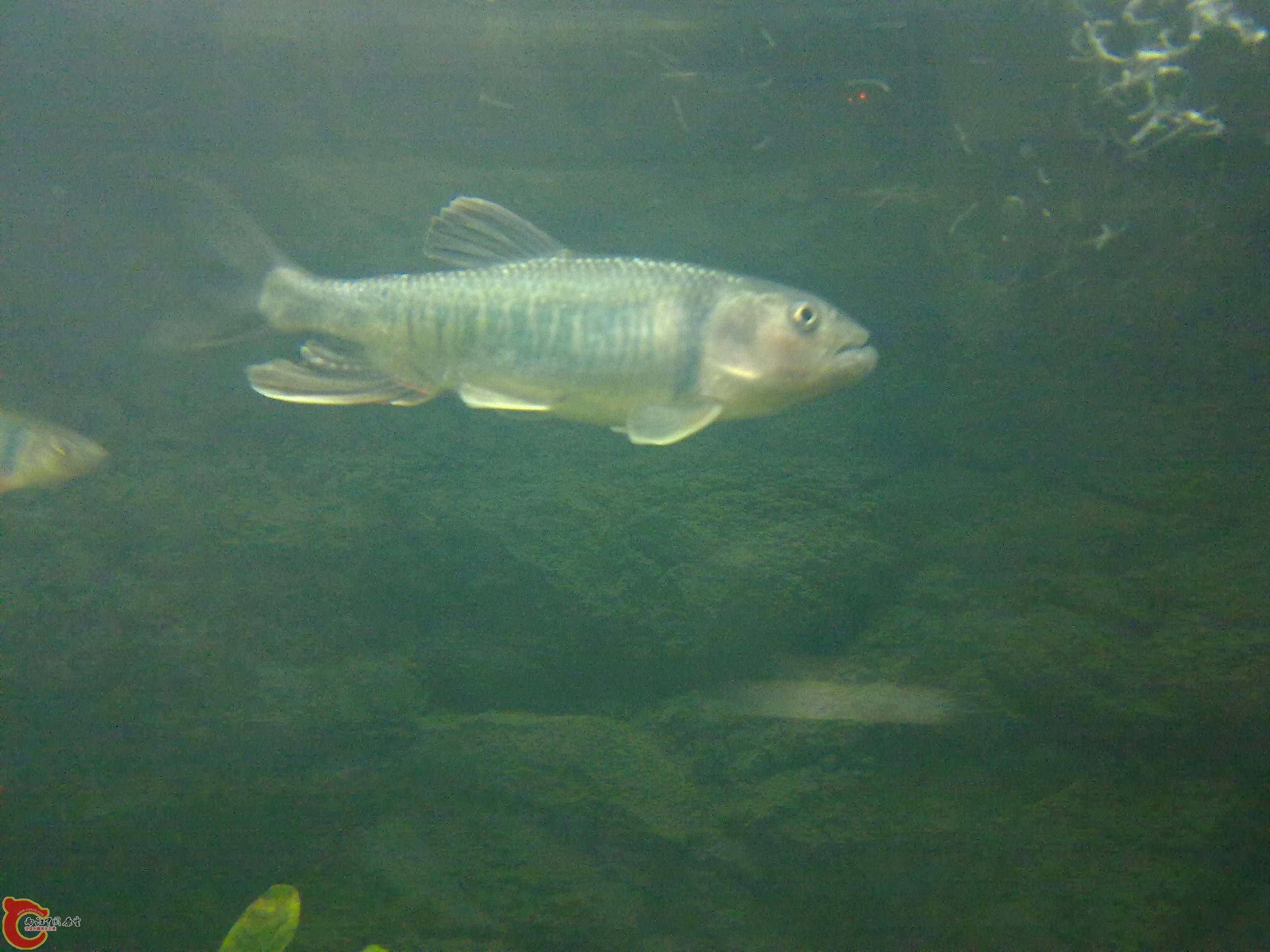 20110203613.jpg