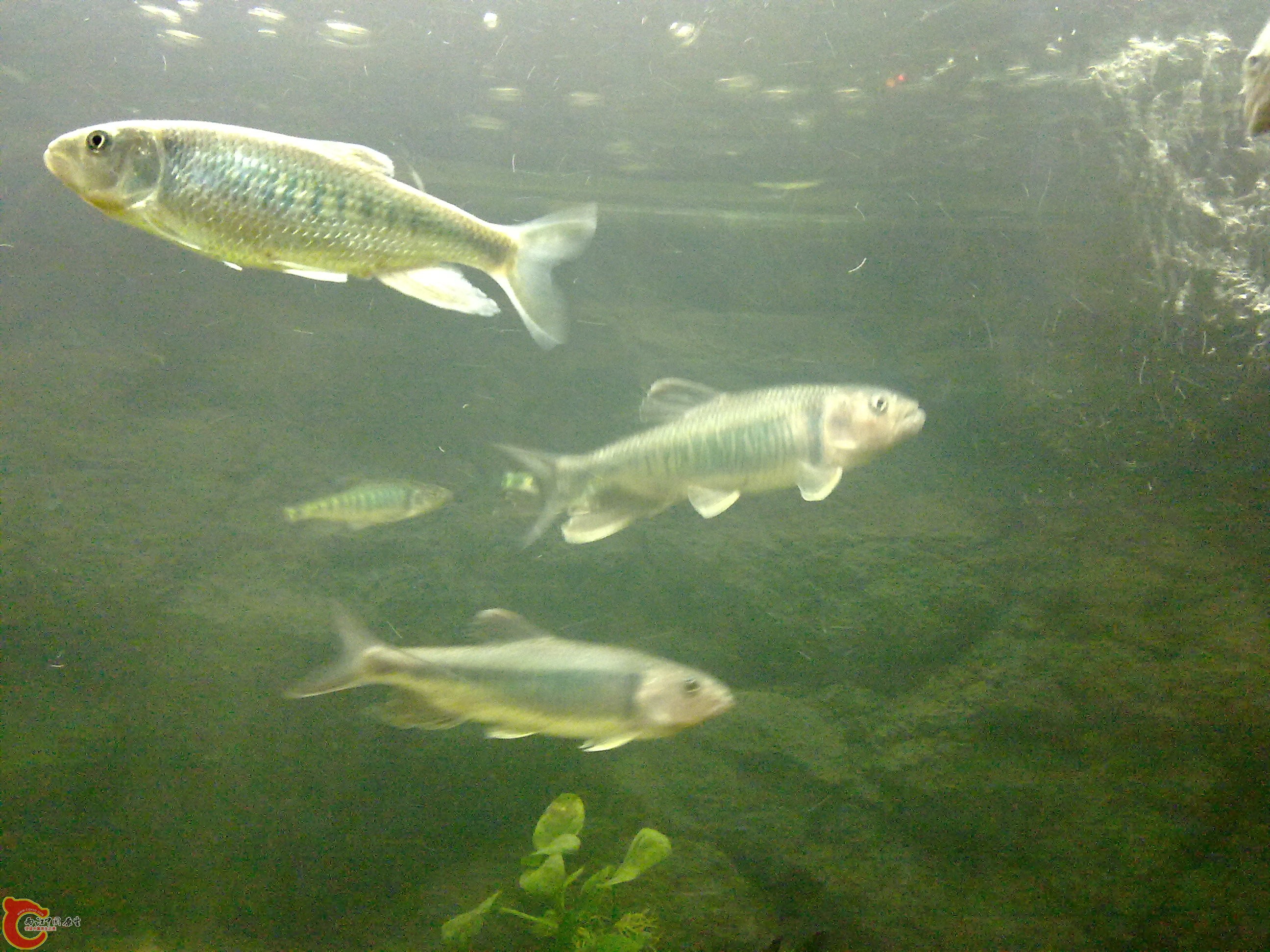 20110203612.jpg