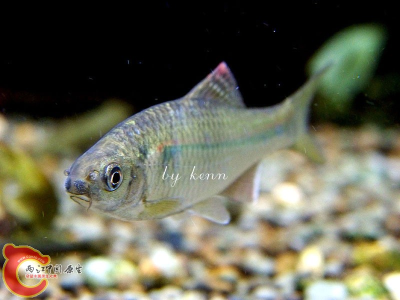 100_2872.JPG