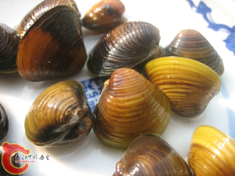 照片2011071.jpg