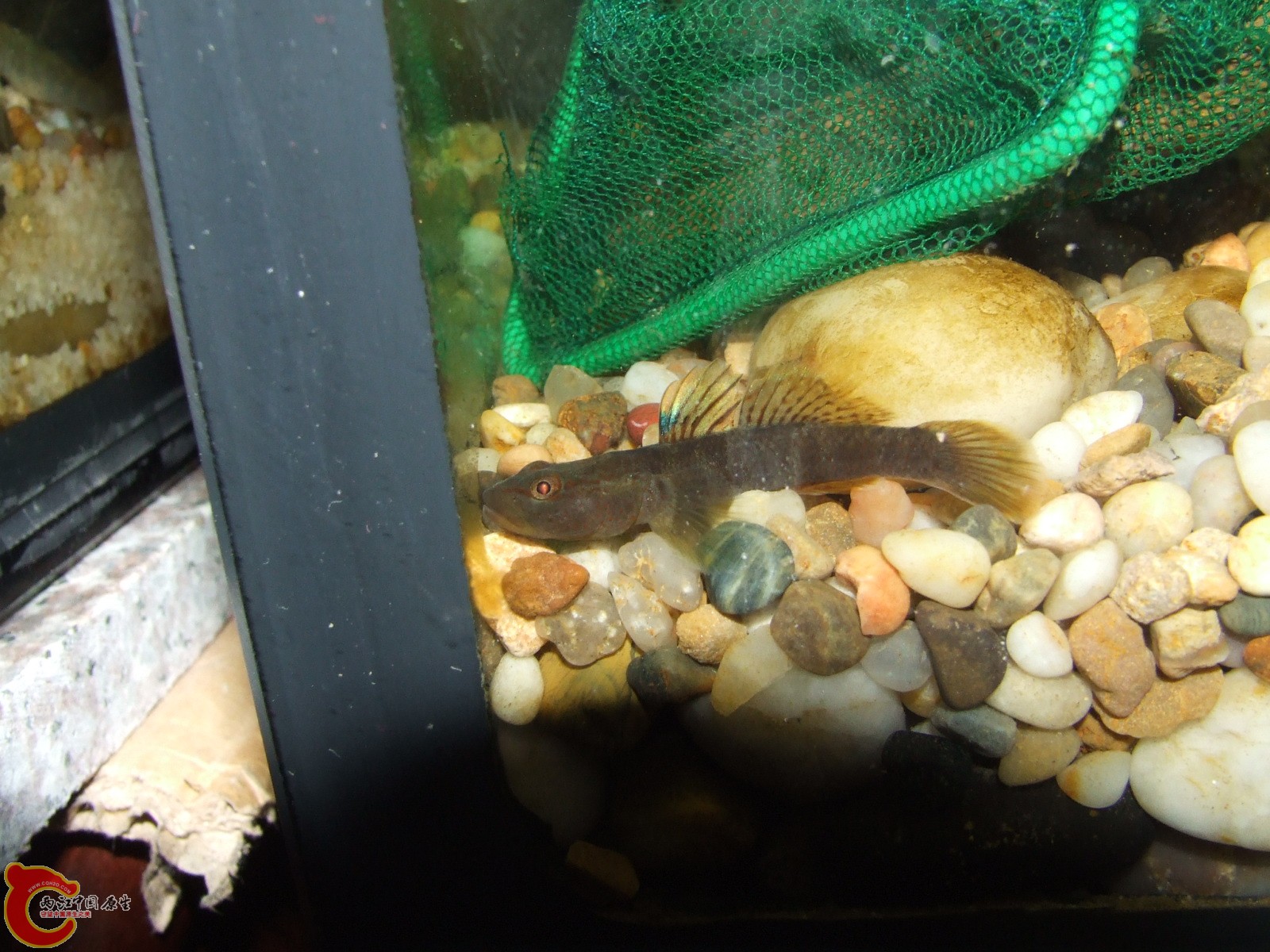 DSCF3248.JPG