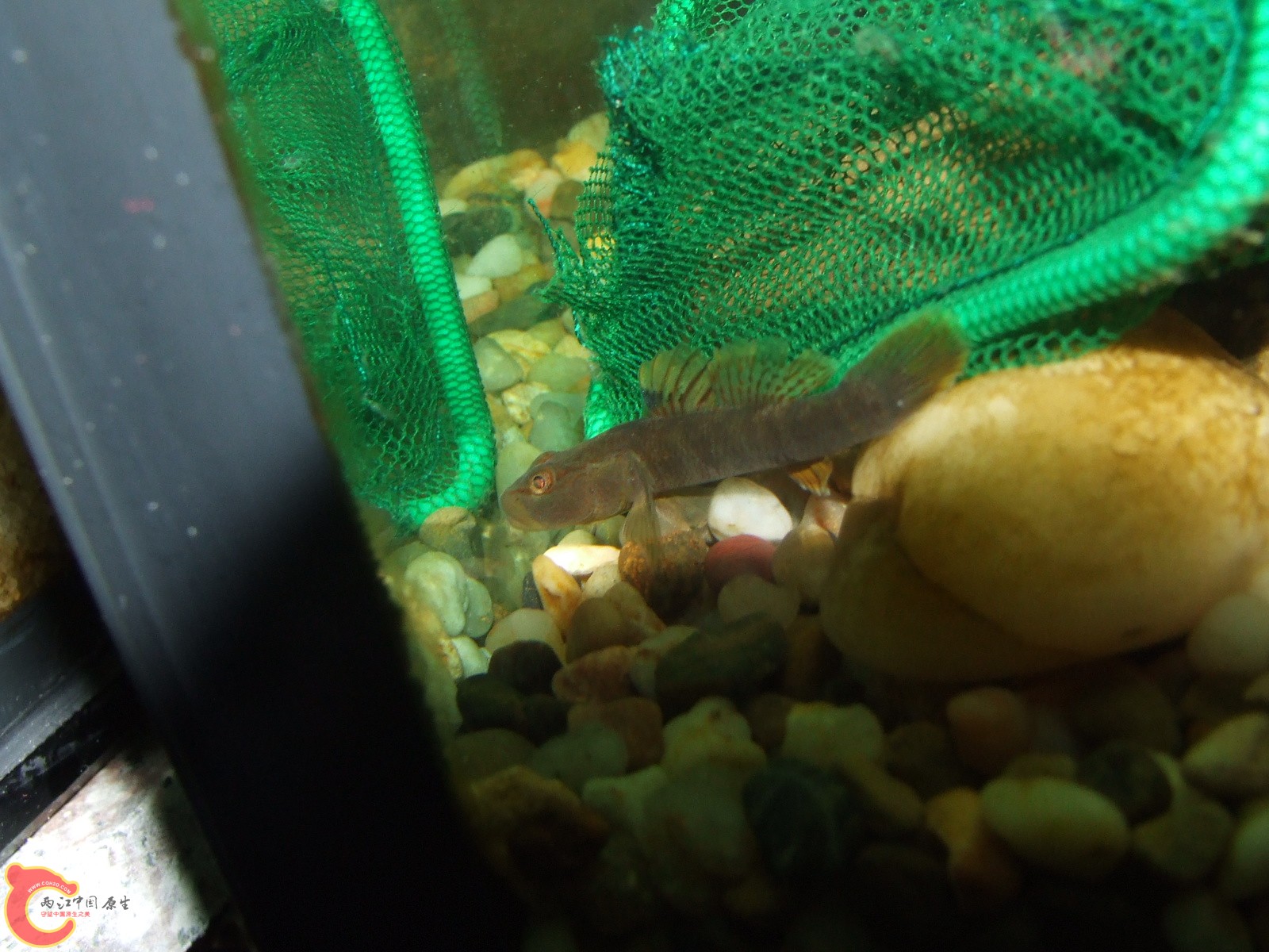 DSCF3253.JPG