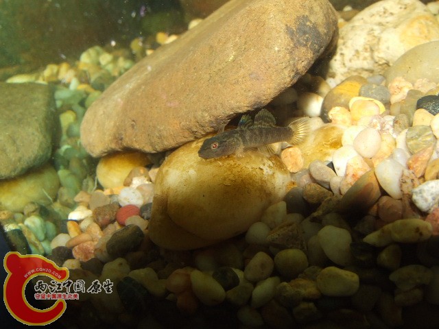 DSCF3202.JPG