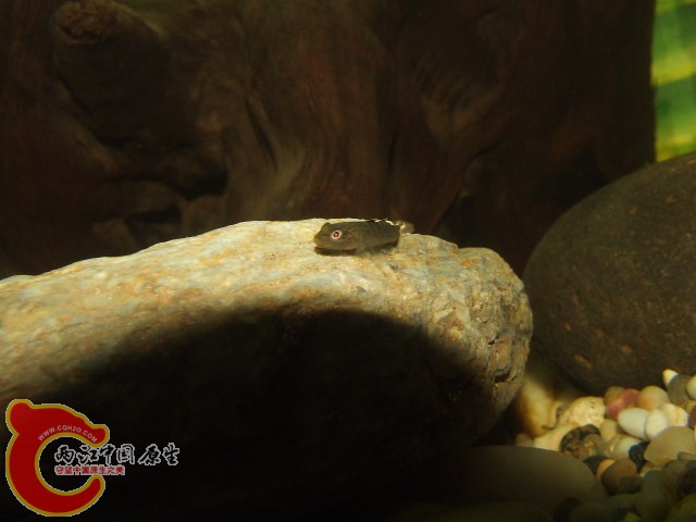 DSCF3210.JPG