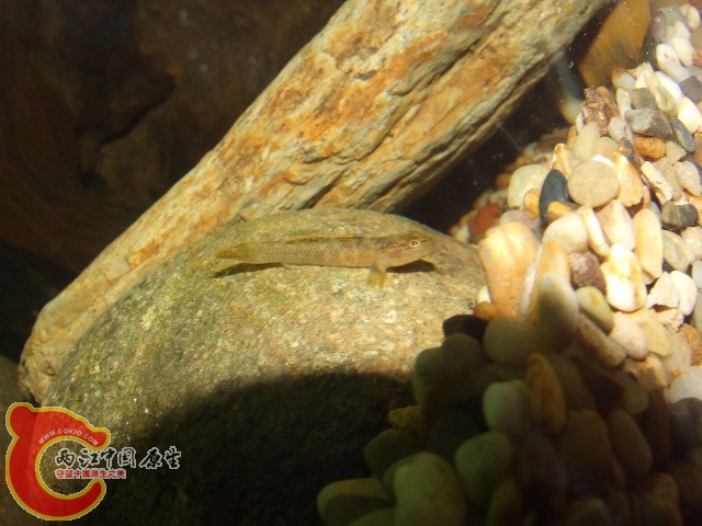 DSCF3262.JPG