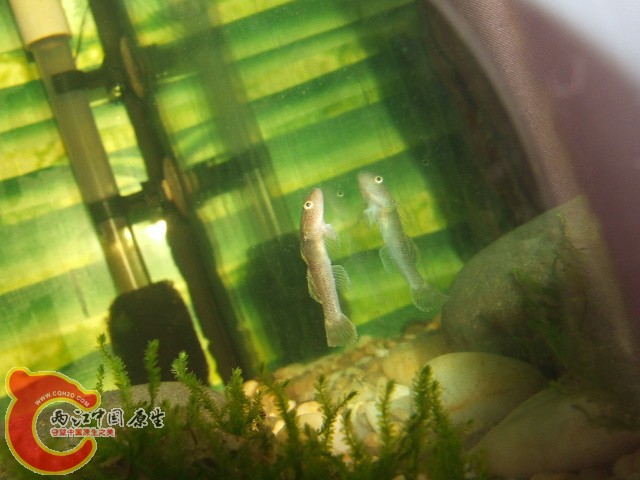 DSCF3264.JPG