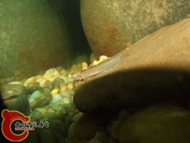 DSCF3266.JPG