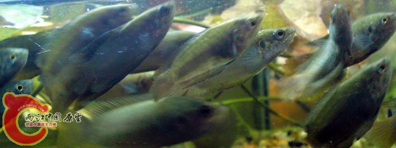 P07-02-11_21.40.jpg