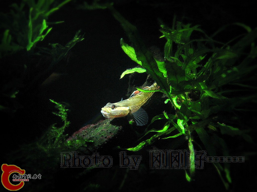 IMG_7152.JPG