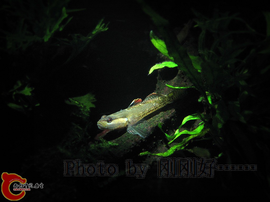 IMG_7198.JPG