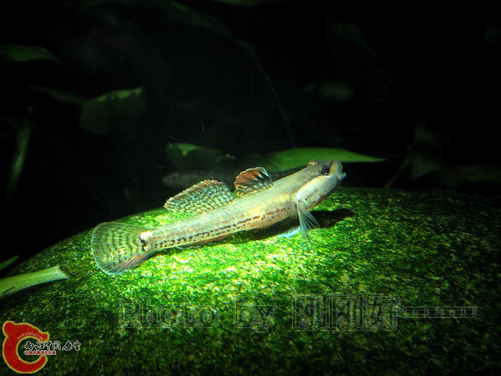 IMG_7203.JPG