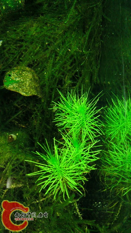 P08-02-11_16.39.jpg