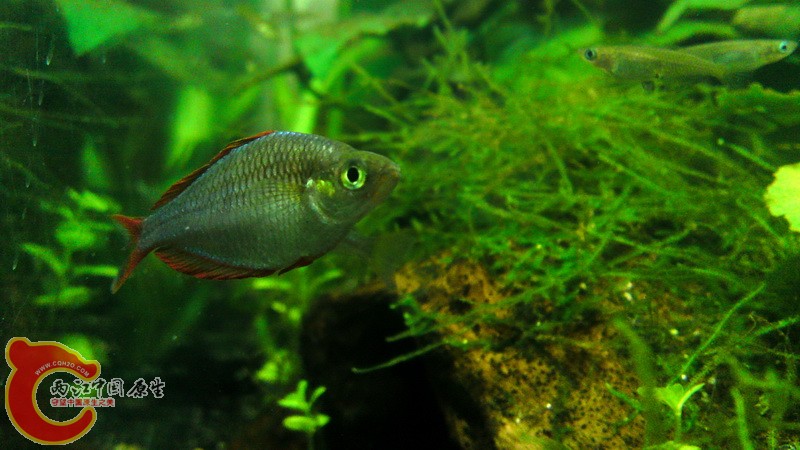 P08-02-11_16.39[01].jpg
